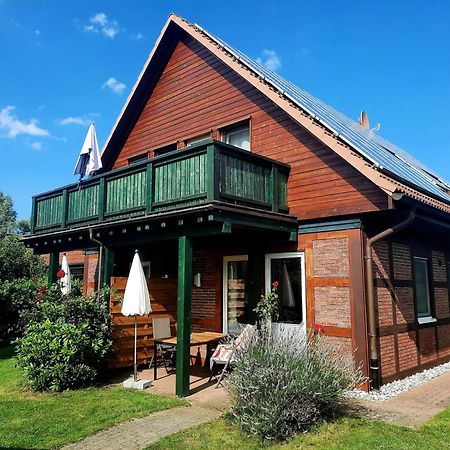 Ferienhaus Sasse Ferienwohnungen Mit Garten & Grill Molschow 외부 사진