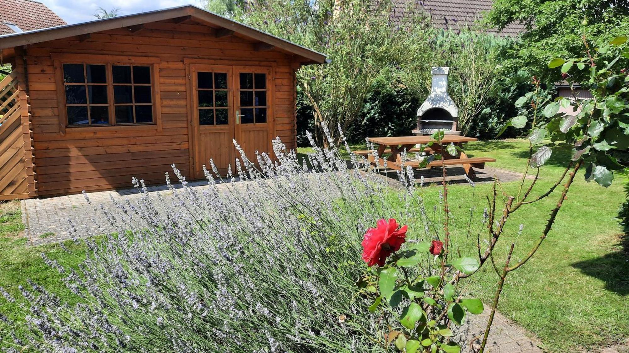 Ferienhaus Sasse Ferienwohnungen Mit Garten & Grill Molschow 외부 사진